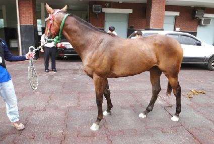 ȣȣ��õ ����