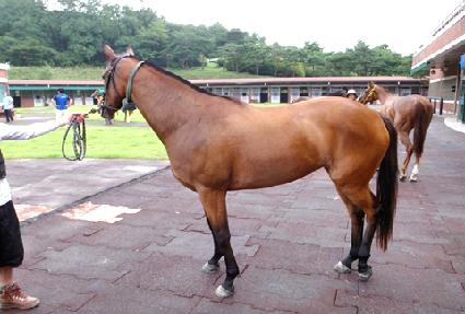 �Ҳɹ�½ ����