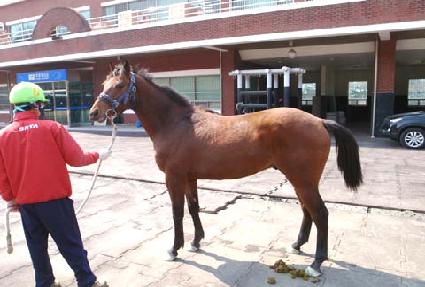 �����ǵ� ����