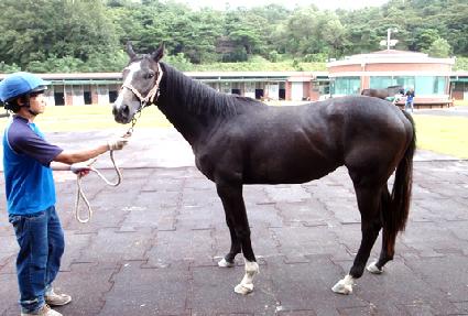 ťƼ��õ ����