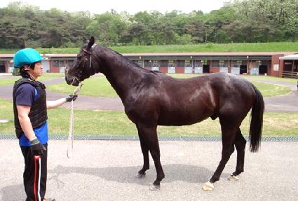 ���Ӵ�� ����