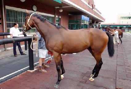 ����ĭ ����