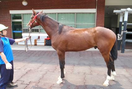 �ο������� ����