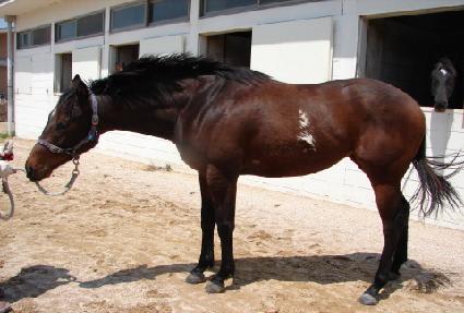 �ο����� ����