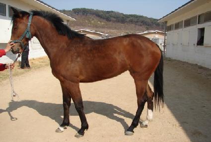 �����⿬ ����