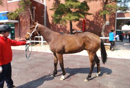 �Ž����� ����