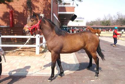 �Ƹ��� ����