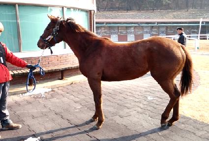 ����Ǻ� ����