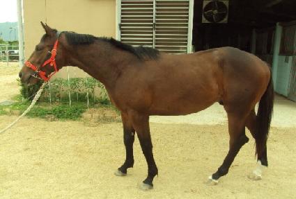 ����ô� ����