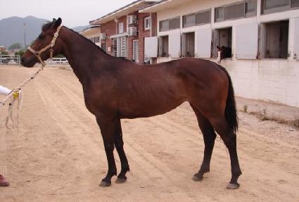 �Ű��뱳 ����