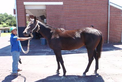 ���ϼ��� ����