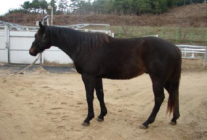 �̽��ͺ�ī ����