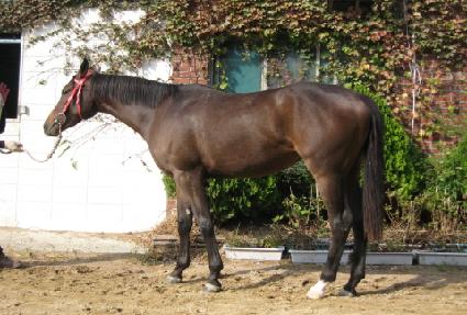 ���� ����