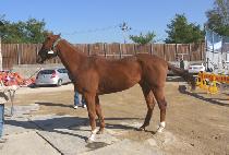 FEEL SO GOOD picture