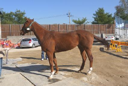 �ʼұ� ����