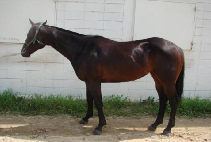 ����Ǯ���� ����