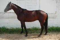 �������� (SAND JEWANG) ����