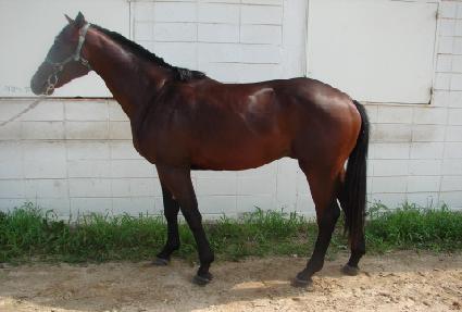 �������� ����