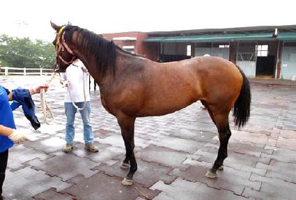 ���̿������� ����