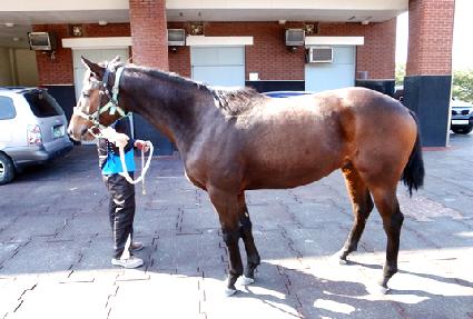 �齺��� ����