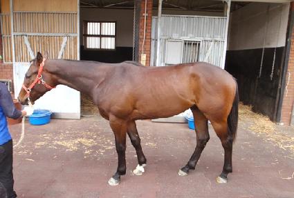 ���ʸ����� ����