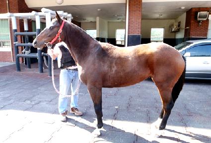 ���̿������� ����