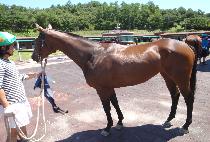 ��ȷ� (HEUNGALLYEONG) ����