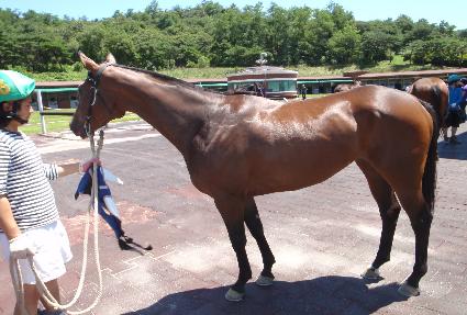 ��ȷ� ����