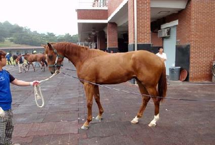 ��Ÿ���� ����