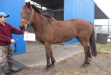 ���� ����