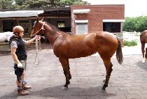 ���׽��� (DANTES VIEW) ����