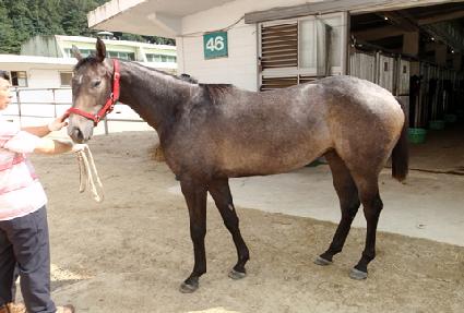 ���̴�� ����