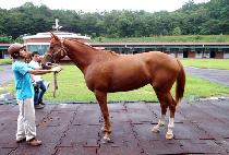 ���̽Ǻ�� (MY SILVIA) ����