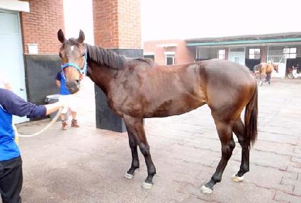 �����̼� ����