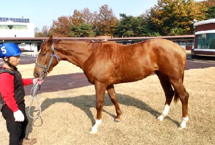 ���ϰ� ����