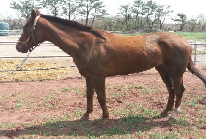 ��Ҽ� ����