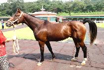 ��Ŭ����� (NUCLEAR STORM) ����