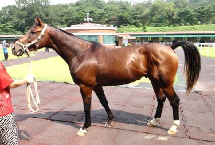 ��Ŭ����� ����