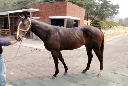 ������ȿ ����