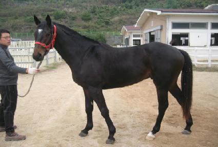 ���κ��� ����