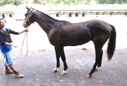 ���̽��� ����