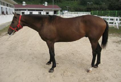 �ο���Ƽ�� ����