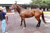 ���ҵ����� (SPENDING TO ME) ����