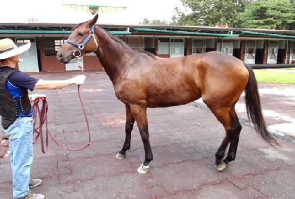 ���ҵ����� ����