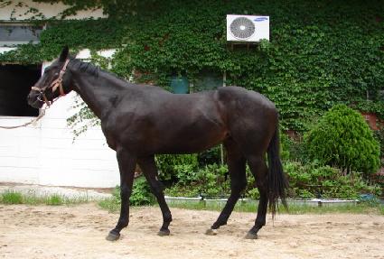 ��ũ������ ����