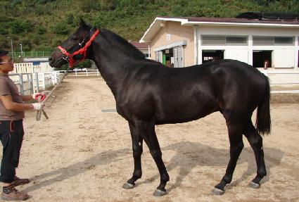 �����ҿ� ����