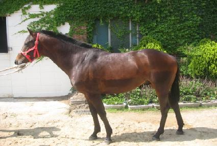 õ�ϴ��屺 ����