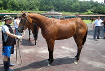 ���ղ� (YEOWANGKKOT) ����