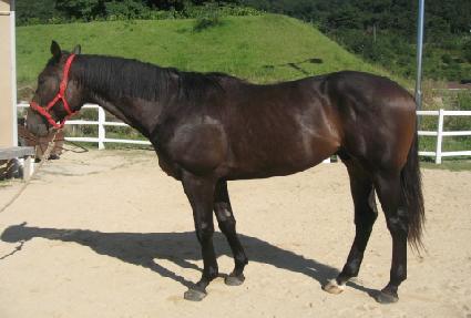 �ְ���� ����