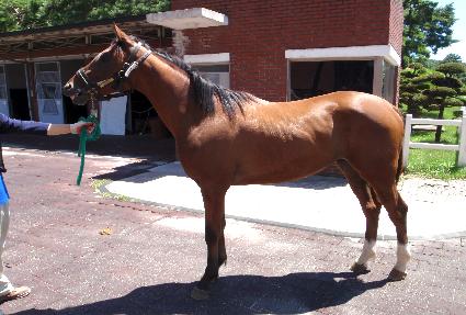 �����ϸ� ����